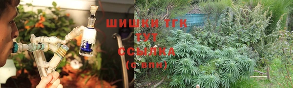 стаф Арсеньев