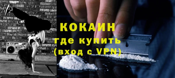 стаф Арсеньев