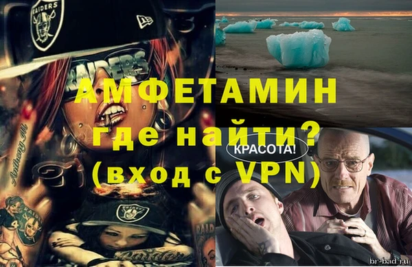 стаф Арсеньев