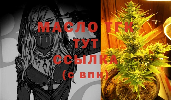 стаф Арсеньев