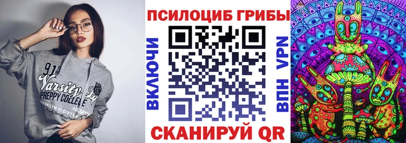 Псилоцибиновые грибы мицелий  купить закладку  Кирово-Чепецк 